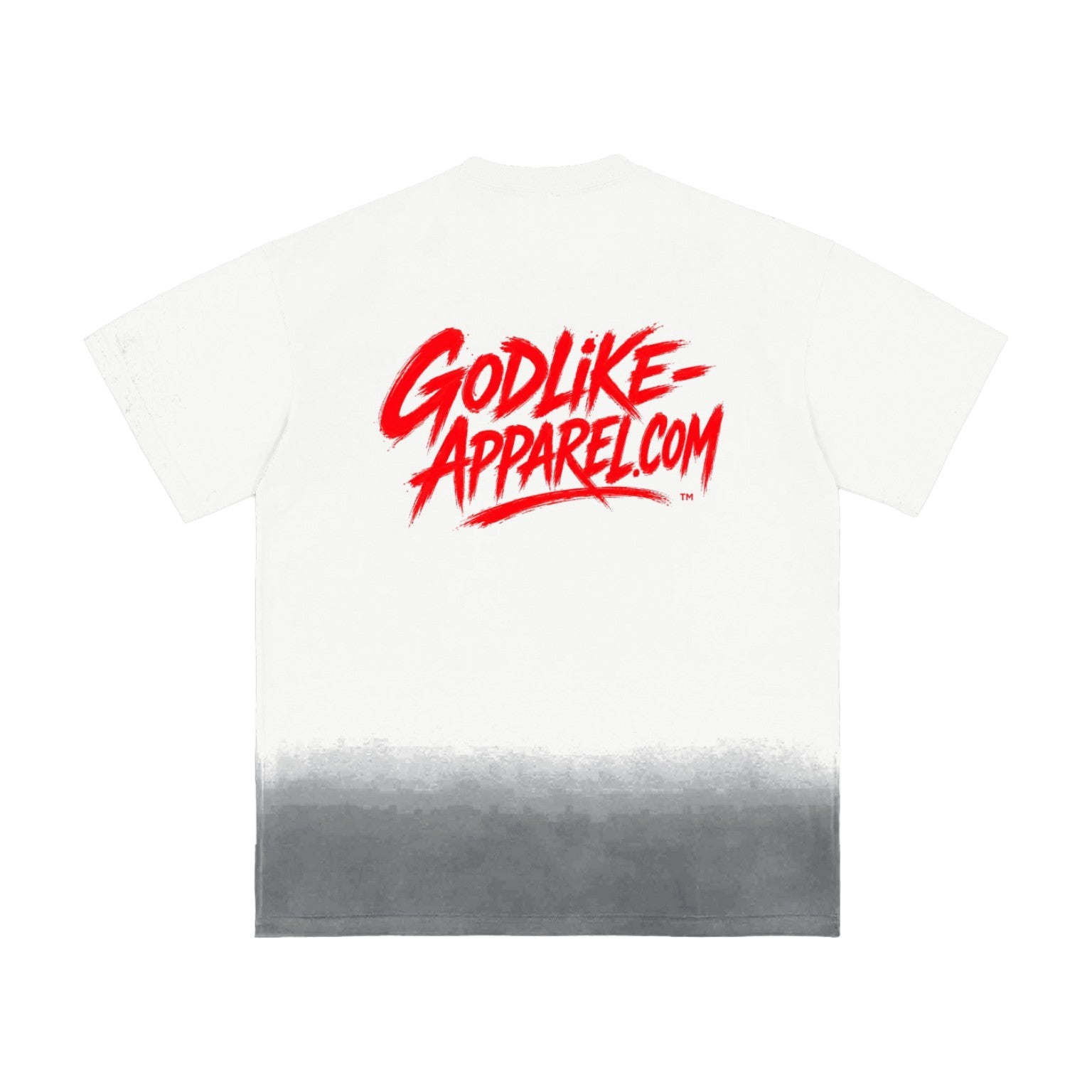 LEVEL UP SHORYOKEN Ronin Fade Oversized Tee back